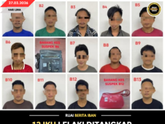 13 IKU LELAKI DITANGKAP DALAM OPERASYEN NARKOTIK BA BAU