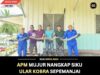 APM MUJUR NANGKAP SIKU ULAR KOBRA SEPEMANJAI URUNG 3.2 METER BA SEJAP ESTATE, BARAM