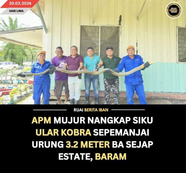 637531163_122167589228765126_2690185556708293461_n