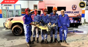 ANAK BAYA PANJAI URUNG DUA METER DITANGKAP APM BA KAMPUNG SINDANG