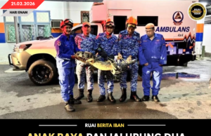 ANAK BAYA PANJAI URUNG DUA METER DITANGKAP APM BA KAMPUNG SINDANG