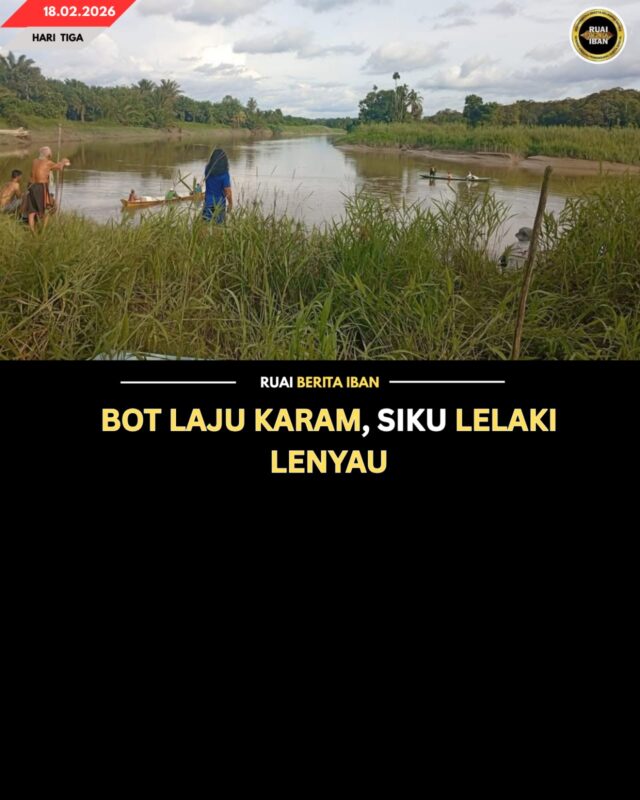 WhatsApp Image 2026-02-18 at 20.06.52 (1)