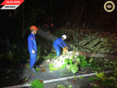 OPERASYEN TENGAH MALAM: APM BEJALAIKA PENGAWA ENGGAU LENGKAS MERESI PUN KE KAYU TUMBANG
