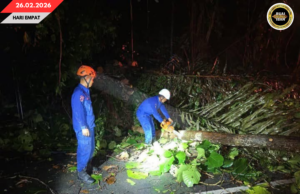 OPERASYEN TENGAH MALAM: APM BEJALAIKA PENGAWA ENGGAU LENGKAS MERESI PUN KE KAYU TUMBANG