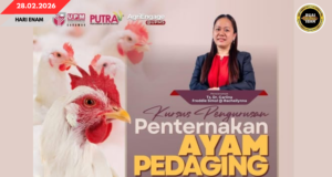 KUS PENGATUR BETUPI MANUK DAGIN UPM SARAWAK NGANGKATKA PENGELANDIK DAGANG ORANG BETUPI