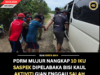 PDRM MUJUR NANGKAP 10 IKU SASPEK DIPELABAKA BISI KAUL AKTIVITI GIAN ENGGAU SALAH GUNA DADAH