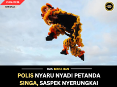 POLIS NYARU NYADI PETANDA SINGA, SASPEK NYERUNGKAI RUMAH MUJUR DITAN