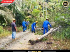 APM SARATOK ENGGAU SESCO LENGKAS MUTARKA PENUSAH PUN KAYU TUMBANG TI NGEMPANG JALAI