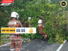PENUSAH PUN KAYU TUMBANG TI NGEMPANG JALAI BA JALAI TAMAN HARMONI MUJUR DIPUTARKA
