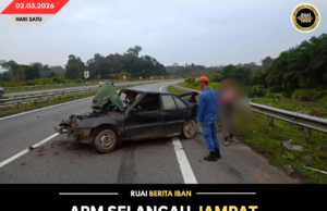 APM SELANGAU JAMPAT NIMBAL PENUSAH EKSIDEN SEMAK JEMATAN BATANG MUKAH