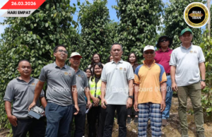 MPB Negapka Kaul Enggau Pekebun Mit Nengah Penemuai Gawa Ke Julau