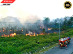 Pengangus madang babas semak Jalai Besai Kemuyang Mujur Dirara