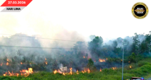 Pengangus madang babas semak Jalai Besai Kemuyang Mujur Dirara