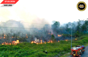 Pengangus madang babas semak Jalai Besai Kemuyang Mujur Dirara