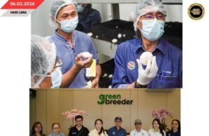 BORNEO HIGHLAND ORCHARD KETERUBAH DI SARAWAK NGELUARKA KULAT BUTANG PUTIH MENUA TU