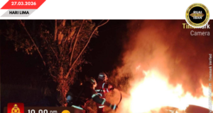 Sebuah Mitsubishi Triton angus lengis ba penusah aksiden, ngelantak pun kayu