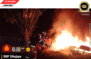 Sebuah Mitsubishi Triton angus lengis ba penusah aksiden, ngelantak pun kayu