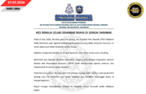 Nembiak Lelaki Lesi Sepengudah Ditagup Baya Ba Sungai Sarawak