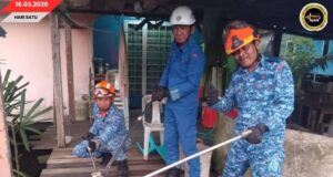 ULAR KOBRA CHELUM BA ATAS PADUNG KASUT PEMANJAI TIGA METER MUJUR DITANGKAP