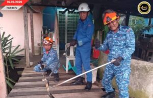 ULAR KOBRA CHELUM BA ATAS PADUNG KASUT PEMANJAI TIGA METER MUJUR DITANGKAP