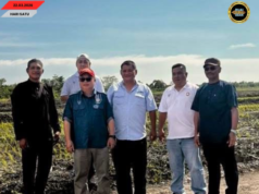 Pansik Padi Hibrid ba Sessang Negapka Produktiviti Nengeri enggau Pengelikun Pemakai