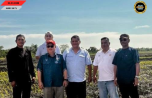 Pansik Padi Hibrid ba Sessang Negapka Produktiviti Nengeri enggau Pengelikun Pemakai