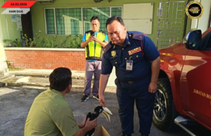 Bomba nyelamatka burung beruie