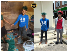 Empat Iku Lelaki Ditan Ketegal Dipelabaka Enchuri Bateri Lori, Wayar Temaga