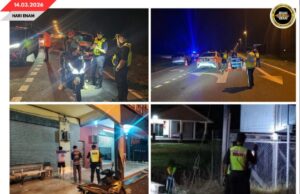 96 IKU INDIVIDU, 88 BUAH PENGERANGKA PENGANGKUT DIPERESA DI MUKAH