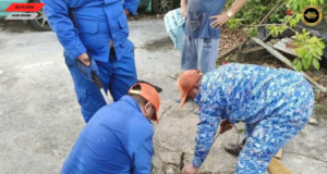 Baya 6 Kaki Mujur Ditangkap APM Ba Taman Susur Jambu, Sarikei
