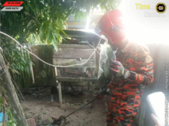 Ular Ba Dalam Sangkar Manuk Mujur Ditangkap Bomba Bintangor