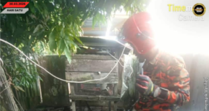 Ular Ba Dalam Sangkar Manuk Mujur Ditangkap Bomba Bintangor