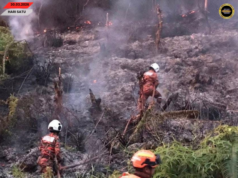 Penusah angus ti ngaul kebun nyerarai ngagai kandang kampung di Kawit