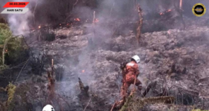 Penusah angus ti ngaul kebun nyerarai ngagai kandang kampung di Kawit