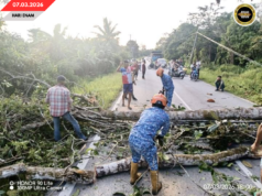 PUN KAYUH TUMBANG NGEMPANG JALAI BUNGIN-SERUAI, MUJUR DIPUTARK ENGGAU LENGKAS APM SPAOH