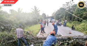 PUN KAYUH TUMBANG NGEMPANG JALAI BUNGIN-SERUAI, MUJUR DIPUTARK ENGGAU LENGKAS APM SPAOH