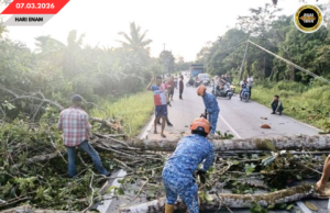 PUN KAYUH TUMBANG NGEMPANG JALAI BUNGIN-SERUAI, MUJUR DIPUTARK ENGGAU LENGKAS APM SPAOH