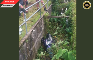 MUTOSIKAL LABUH KE PARIT, SIKU BAKAL, DERIBA KERITA KE ‘LENYAU’