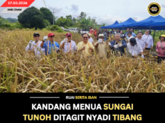 KANDANG MENUA SUNGAI TUNOH DITAGIT NYADI TIBANG PADI BEDANDANG BESAI — DR RUNDI