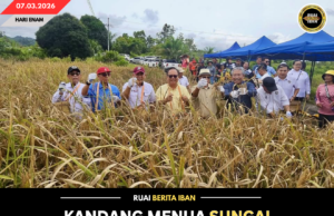 KANDANG MENUA SUNGAI TUNOH DITAGIT NYADI TIBANG PADI BEDANDANG BESAI — DR RUNDI