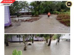 PENUSAH AMPUH BAH NGENYIT NUNTUNG KAMPUNG GERSIK, TIKAS AI DIRIPOTKA SURUT