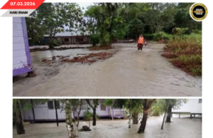PENUSAH AMPUH BAH NGENYIT NUNTUNG KAMPUNG GERSIK, TIKAS AI DIRIPOTKA SURUT