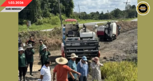 PROJEK NGELUARKA BENIH PADI HIBRID BENUNG BA RENGGAT NGETAU