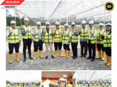 SMFC OPAR MERANSANG TRANSORMASYEN BETANAM BETUPI MODEN SARAWAK