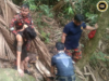 Temuai peranak Australia ditemu selamat lebuh diripotka tesat ba Bukit Santubong