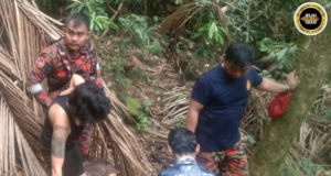 Temuai peranak Australia ditemu selamat lebuh diripotka tesat ba Bukit Santubong