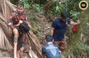 Temuai peranak Australia ditemu selamat lebuh diripotka tesat ba Bukit Santubong
