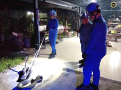 APM Kuching nangkap siku ular sawa tujuh kaki pemanjai ba Kampung Segedup