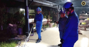 APM Kuching nangkap siku ular sawa tujuh kaki pemanjai ba Kampung Segedup