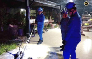 APM Kuching nangkap siku ular sawa tujuh kaki pemanjai ba Kampung Segedup